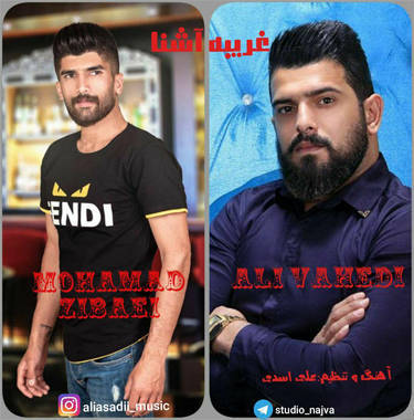 محمد زیبایی و علی واحدی غریبه آشنا